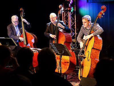 Drei Musiker spielen gemeinsam auf einer Bühne jeweils einen Kontrabass, während vor ihnen Notenständer aufgestellt sind. Im Vordergrund sind die Silhouetten von Zuschauern zu sehen, die dem Konzert in einem abgedunkelten Veranstaltungsraum beiwohnen.